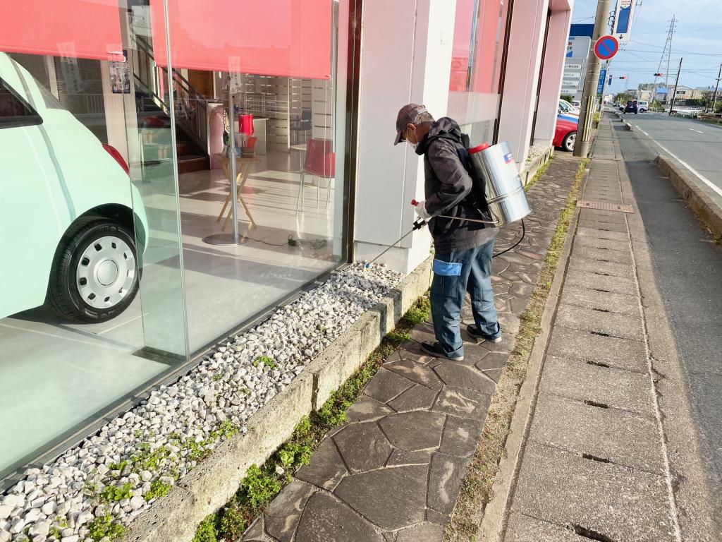 雑草の勢いのすごさよ