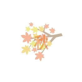 今日この頃・・・。