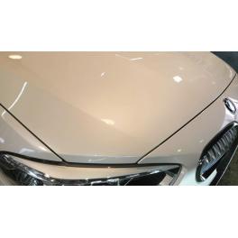 BMW 118i　G'zoxリアルガラスコートR施工